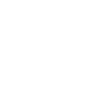 Seer