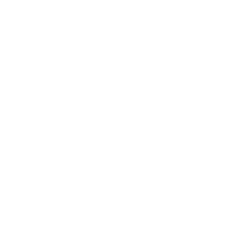 MetaSight